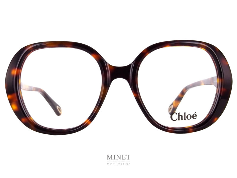 Très jolies lunettes oversized en acétate de cellulose. Très stylées et légèrement rétro. De quoi ravir votre style vintage.