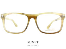 Superbe lunettes très claires en corne de buffle véritable. Les Tom Ford Private Collection TF5719-P Blonde font partie de la collection personnelle de Tom Ford. Toute les lunettes de la Private Collection sont de modèles portés par Tom Ford, lui même, et déclinée en cette superbe matière noble qu'est la corne de buffle. Ce qui fait que chaque modèle est unique car il est impossible de reproduire les couleurs à l'identique. 